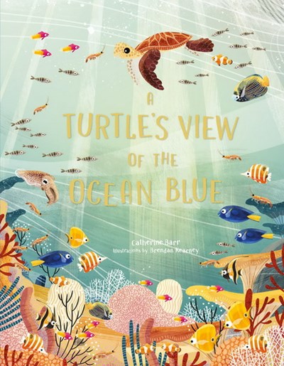 A TURTLE'S VIEW OF THE OCEAN BLUE